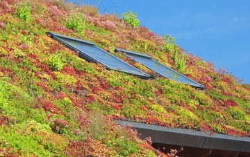 Lanjew living roof systems